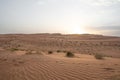 Desert view at sunset in Oman Royalty Free Stock Photo