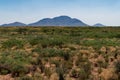 The desert view from Separ road, New Mexico. Royalty Free Stock Photo