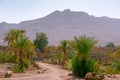 Desert villa with palm trees, adobe houses and mountains in the background. Morocco. High Atlas, Morocco Royalty Free Stock Photo