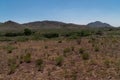 Desert vista from Separ road, New Mexico. Royalty Free Stock Photo