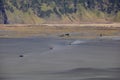 Desert of Volcano Bromo Royalty Free Stock Photo
