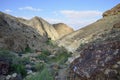 Desert wadi in Negev at spring, Israel. Royalty Free Stock Photo