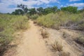 Desert Walking Path Royalty Free Stock Photo