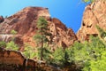 Zion National Park, Cliffs of Canyon above Emerald Pools, Southwest Desert, Utah Royalty Free Stock Photo