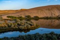 Desert Waters of idaho Royalty Free Stock Photo