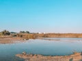 Desert wild plants and nature | Spectacular Landscape View at Al Wathba Wetland Reserve in Abu Dhabi, UAE | coastal salt flat sa Royalty Free Stock Photo