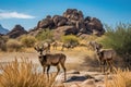 desert wildlife, surrounded by towering buttes and stone formations