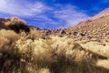 Desert Yellow foliage in valley under a blue sky with white clouds Royalty Free Stock Photo