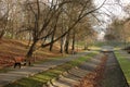 Deserted autumn Park. Empty benches and fallen leaves. Royalty Free Stock Photo