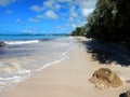 Deserted Barbados beach