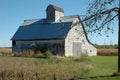 Deserted barn with apple tree