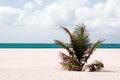 Deserted beach