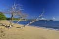 Deserted beach in brazil going by wooden boat