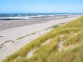 Deserted beach, breakwaters and dunes at North Sea coast of West Frisian island Vlieland, Netherlands Royalty Free Stock Photo