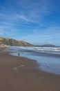 Deserted beach except for the seagulls at Paekakariki near Wellington, New Zealand Royalty Free Stock Photo