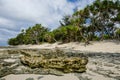 The deserted beach of Mystery Island in Vanuatu Royalty Free Stock Photo