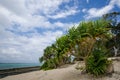 The deserted beach of Mystery Island in Vanuatu Royalty Free Stock Photo