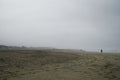 Deserted beach. People in the distance. Fog on the shore Royalty Free Stock Photo