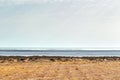 A Deserted Beach in Southern MÃÂ©denine, Tunisia Royalty Free Stock Photo