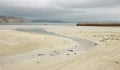 Deserted Beach view on an autumn day Royalty Free Stock Photo