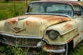 Deserted and beat up classic car from the fifties Royalty Free Stock Photo