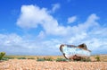 Deserted boat