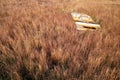 Deserted boat in withered grass Royalty Free Stock Photo