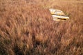 Deserted boat in withered grass