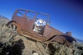 A deserted car with a cow skeleton driving in the Great Basin National Park, Nevada