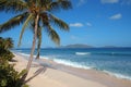 Deserted Caribbean beach