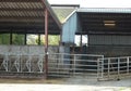 Deserted cow shed on a farm Royalty Free Stock Photo