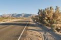 Deserted desert road
