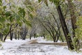 Deserted fall alley covered first early wet snow among snow covered trees in urban park. Royalty Free Stock Photo