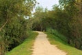 Deserted gravel hiking path Royalty Free Stock Photo