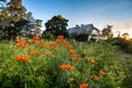 Deserted house on summer sun set Royalty Free Stock Photo