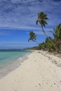 Deserted island in the tropics Royalty Free Stock Photo