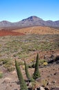 Deserted landscape of teide national park on tenerife, canary islands in spain