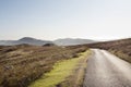 Deserted moor road Royalty Free Stock Photo