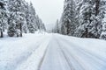 Tyre tracks on fresh snow covering a forest road in the mountains Royalty Free Stock Photo
