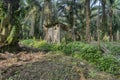 Deserted old dilapidated wooden shed Royalty Free Stock Photo