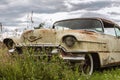 Deserted and overgrown classic car from the fifties Royalty Free Stock Photo