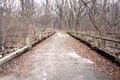A Deserted Path Through the Woods in Fall Royalty Free Stock Photo