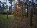 deserted pullup bars in the forest