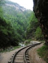 Deserted railway Royalty Free Stock Photo