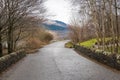 Deserted Road Lined with Bare Trees on a Winter Day Royalty Free Stock Photo