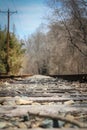 Deserted train tracks Royalty Free Stock Photo