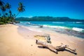 Deserted trunk on Playa Rincon beach in Dominican Republic Royalty Free Stock Photo