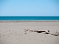 Deserted unspoilt beach with driftwood Royalty Free Stock Photo