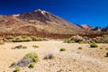 Deserted view of Las Canadas National park Royalty Free Stock Photo