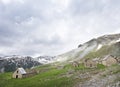 Deserted village along the road to col de la bonette in french alpes maritimes Royalty Free Stock Photo